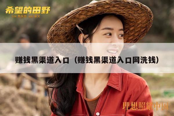 赚钱黑渠道入口（赚钱黑渠道入口网洗钱）