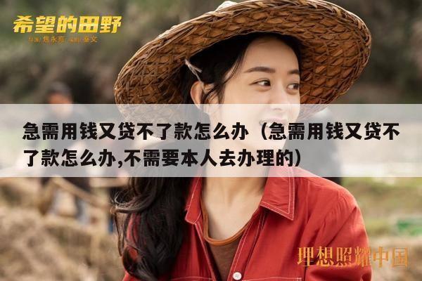 急需用钱又贷不了款怎么办（急需用钱又贷不了款怎么办,不需要本人去办理的）