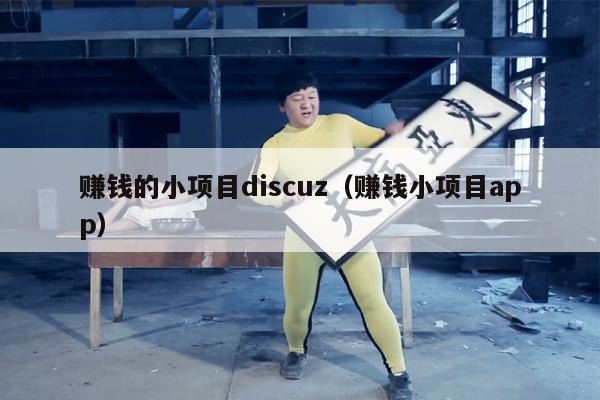 赚钱的小项目discuz（赚钱小项目app）