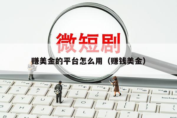 赚美金的平台怎么用（赚钱美金）